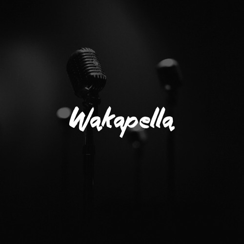 Waka Flocka – Wakapella