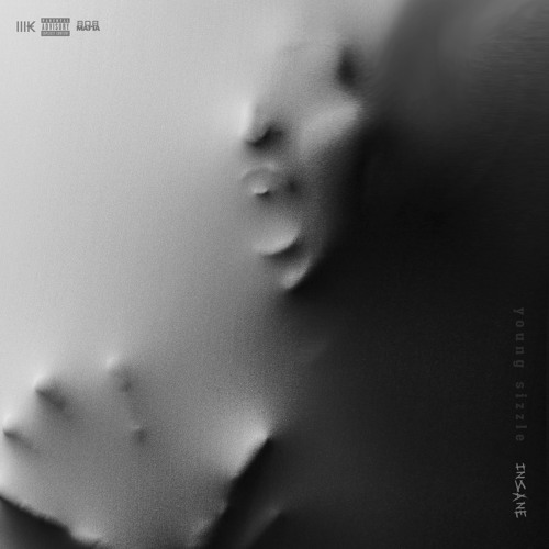 Young Sizzle – Insane