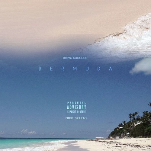 Drevo Coolidge – Bermuda