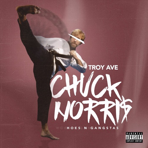 Troy Ave – Chuck Norris (Hoes & The Gangstas)