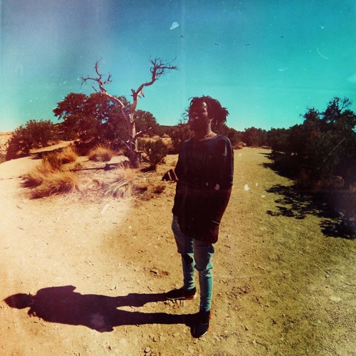 Wave Chapelle – Authentic