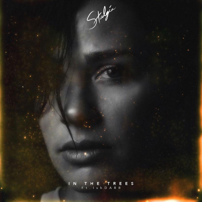 Stalgia Ft. IshDARR – In The Trees (Chevali Remix)
