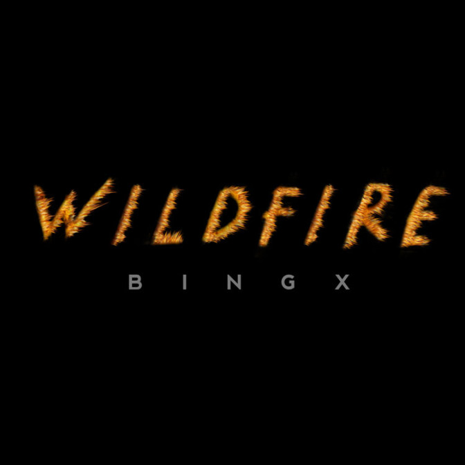 Bingx – Wildfire