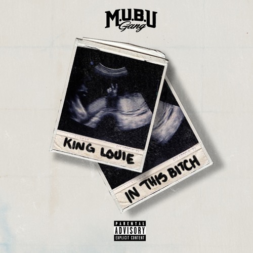 King Louie – In This Bitch
