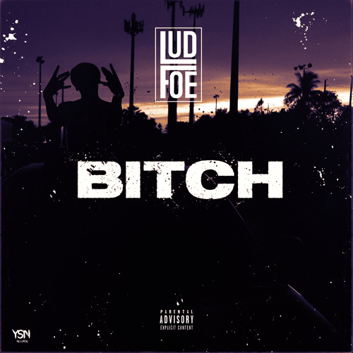 Lud Foe – Bitch