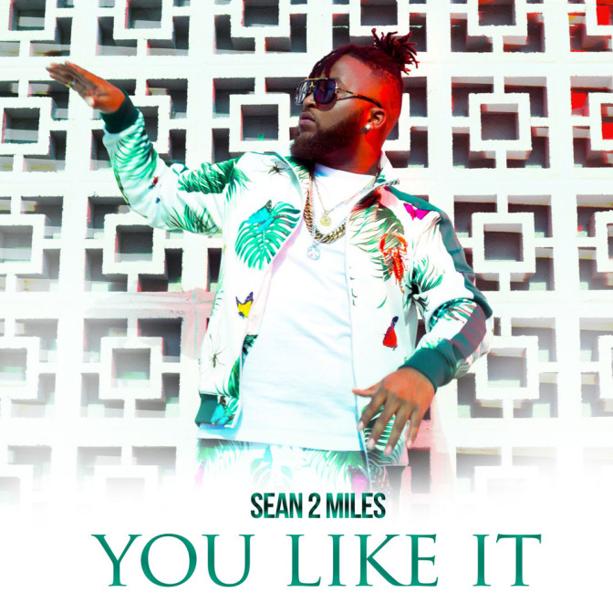 Sean2 Miles – You Like It